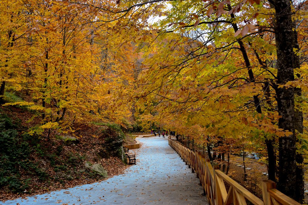 Фотография автора Demet Özer Yakut