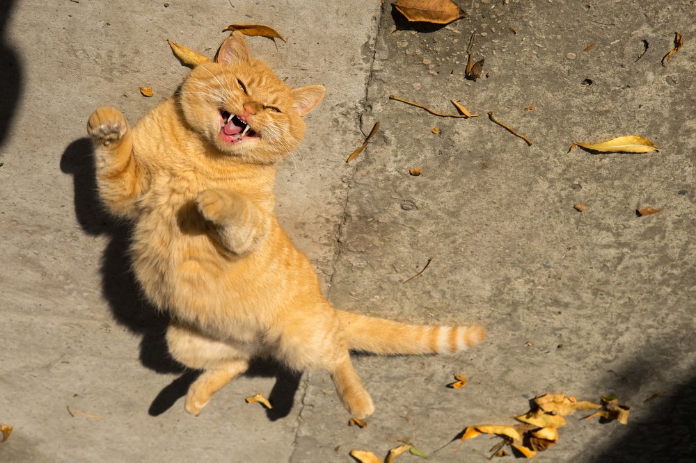 Photograph by Ксения Щербакова