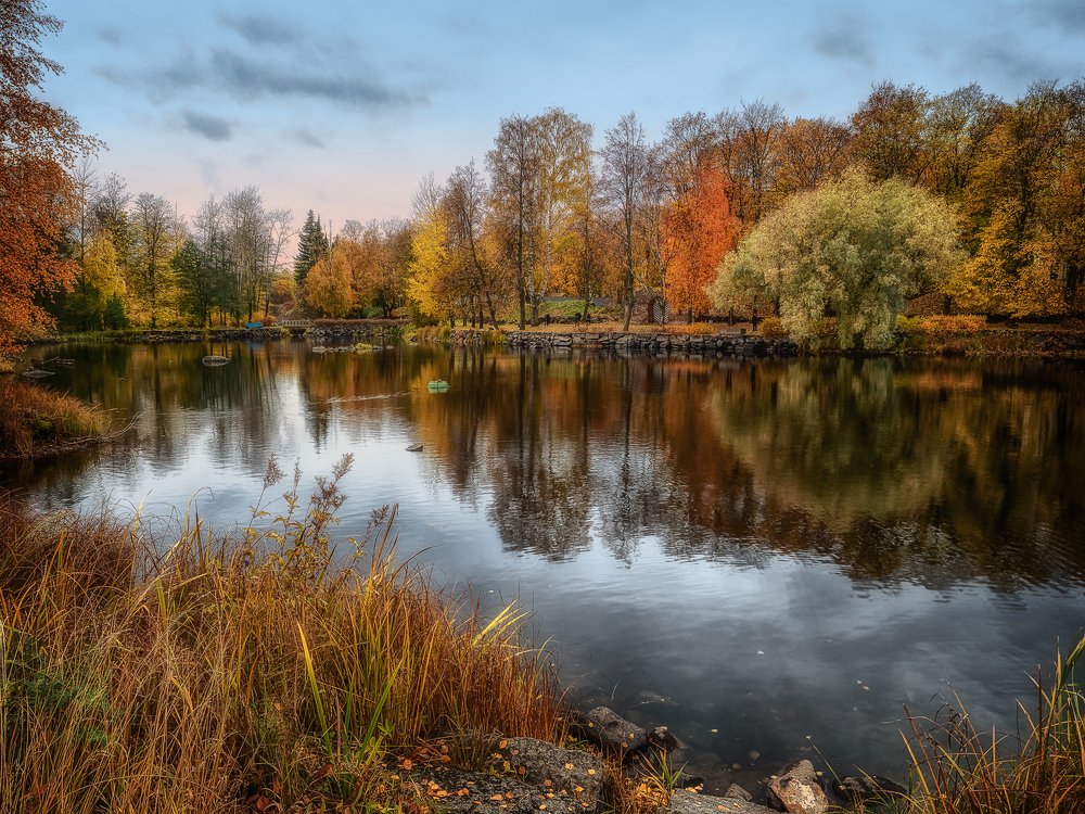 Фотография автора Евгений Кузнецов