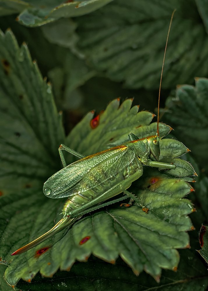 Photograph by Сергей Балухта
