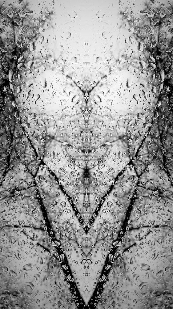 Photograph by Мария Бербега