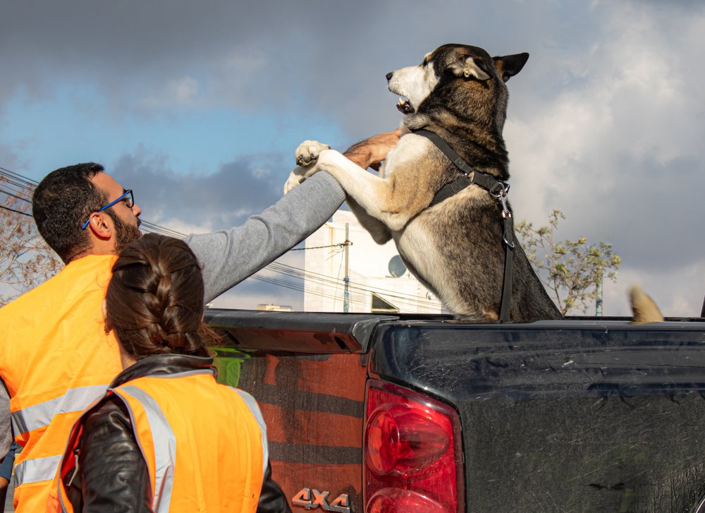 Photograph by Ali Abu Ras