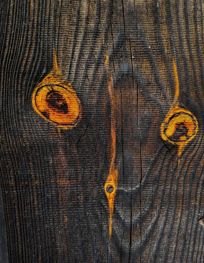 Photograph by Евгений Симион