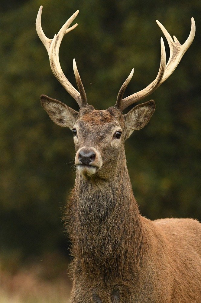 Photograph by Kara Fox