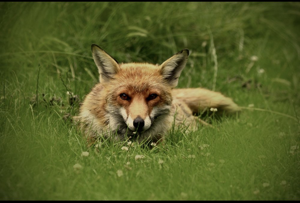 Photograph by Kara Fox