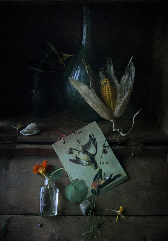 Photograph by Мария Сапего