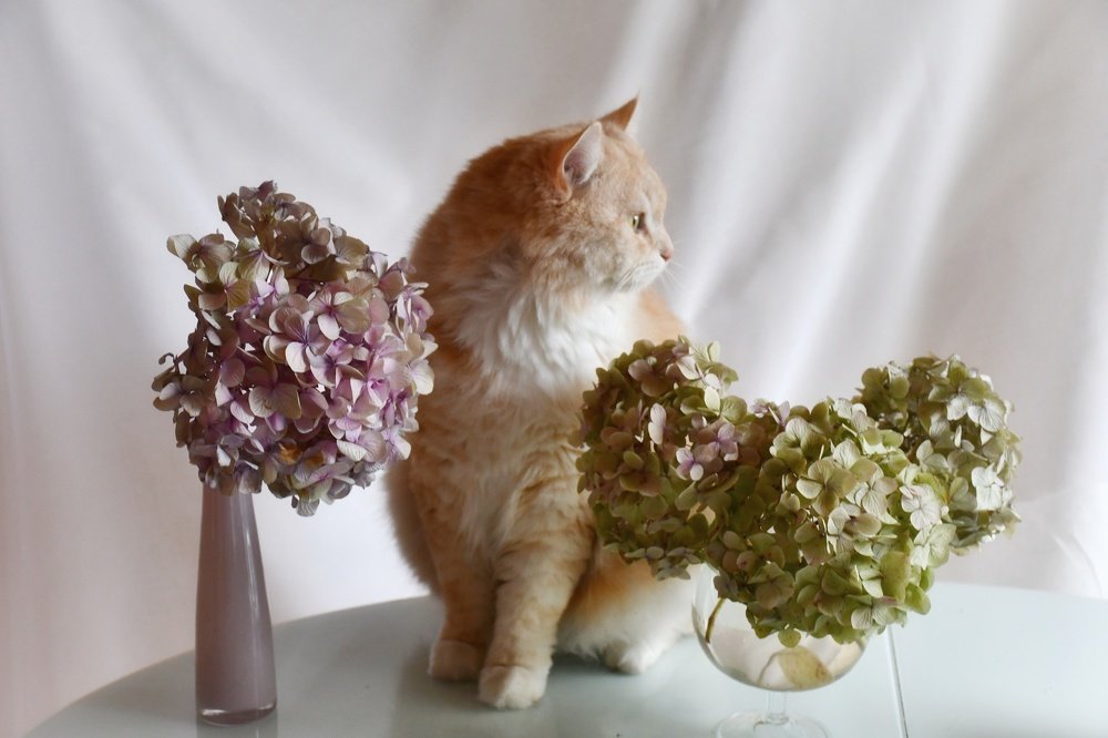 Photograph by Алина Голубева