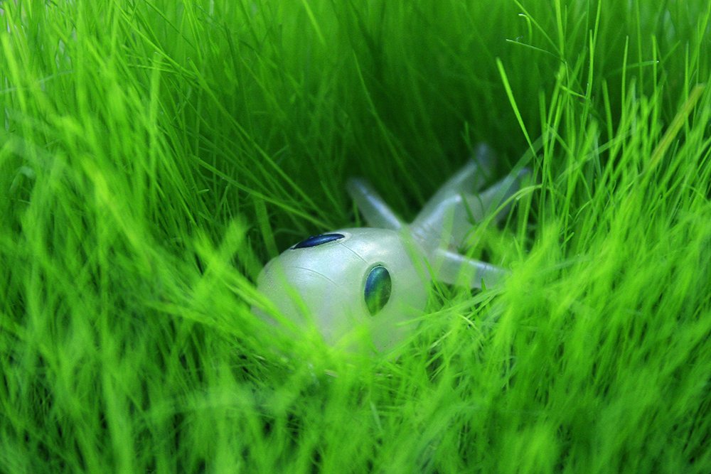 Как давно я здесь не был