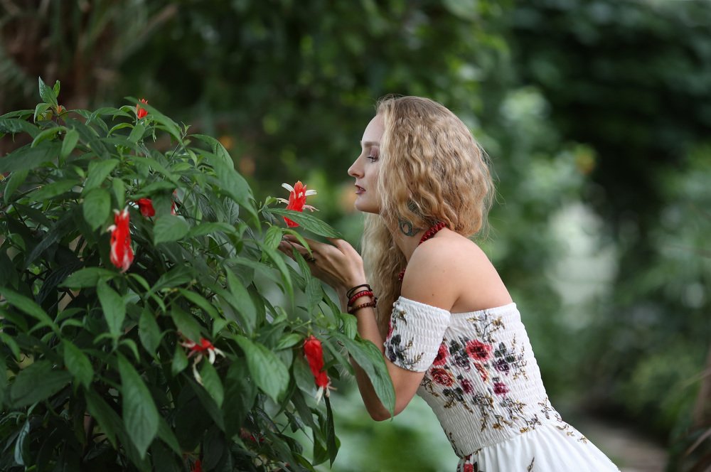 В тропическом саду