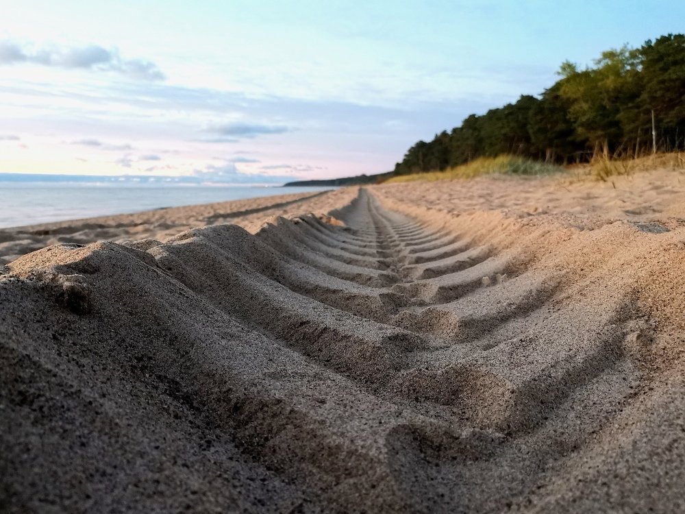 Photograph by Готардо Ронитис