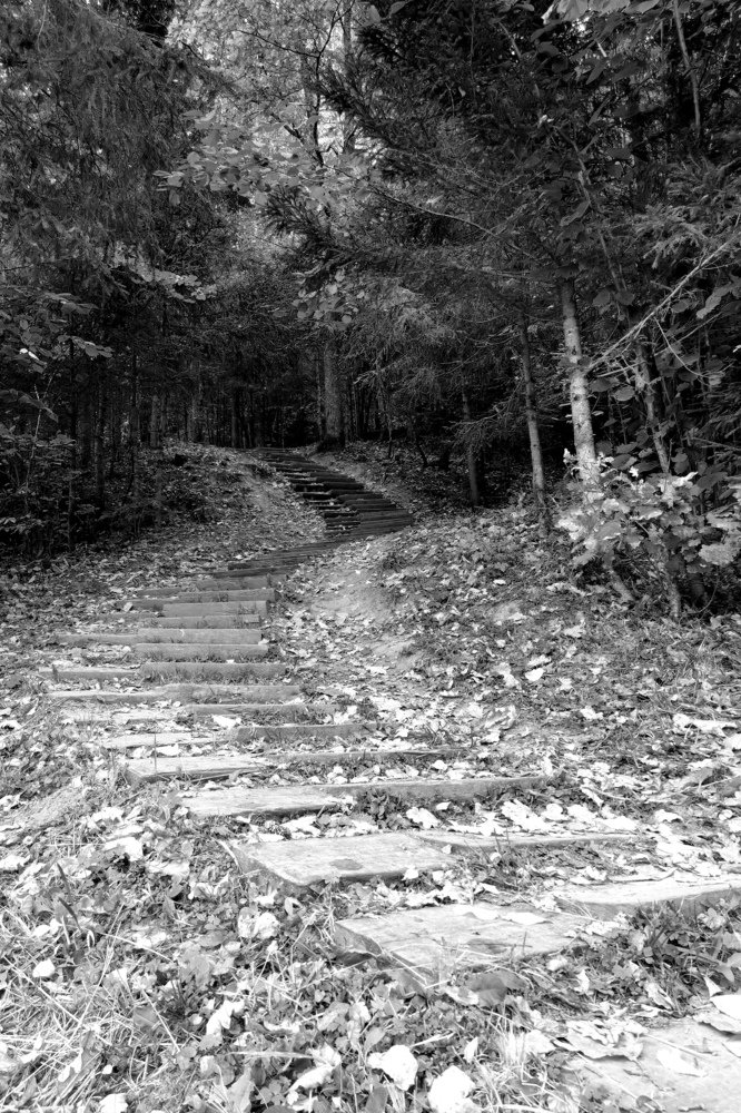 Photograph by Готардо Ронитис