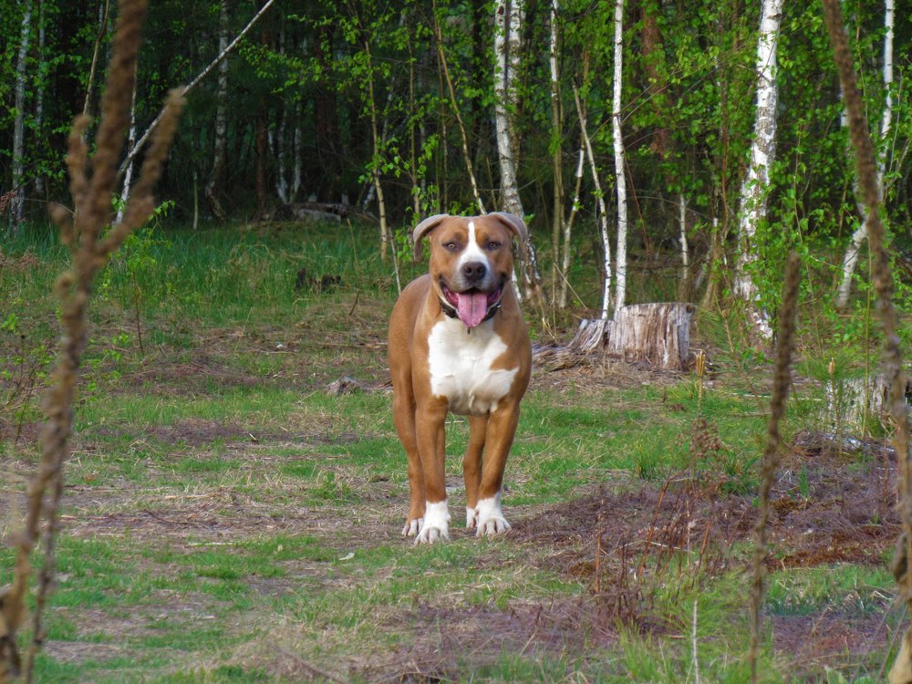 Photograph by Анна Кремешкова