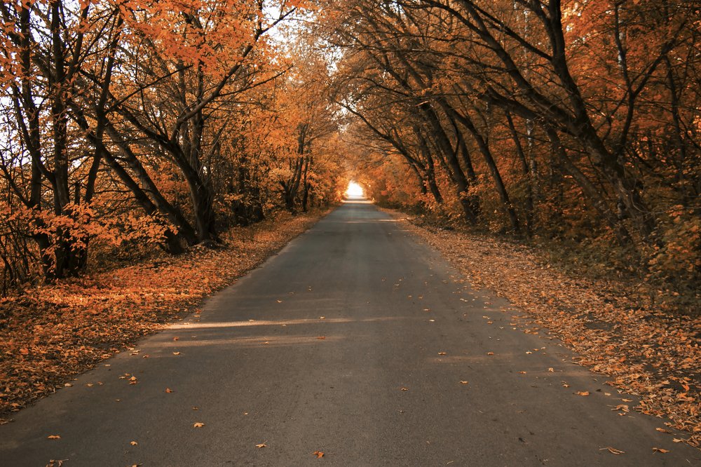 Осенняя дорога