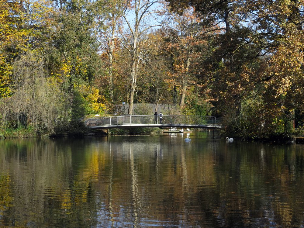 Фотография автора Katica Pecigoš-Kljuković