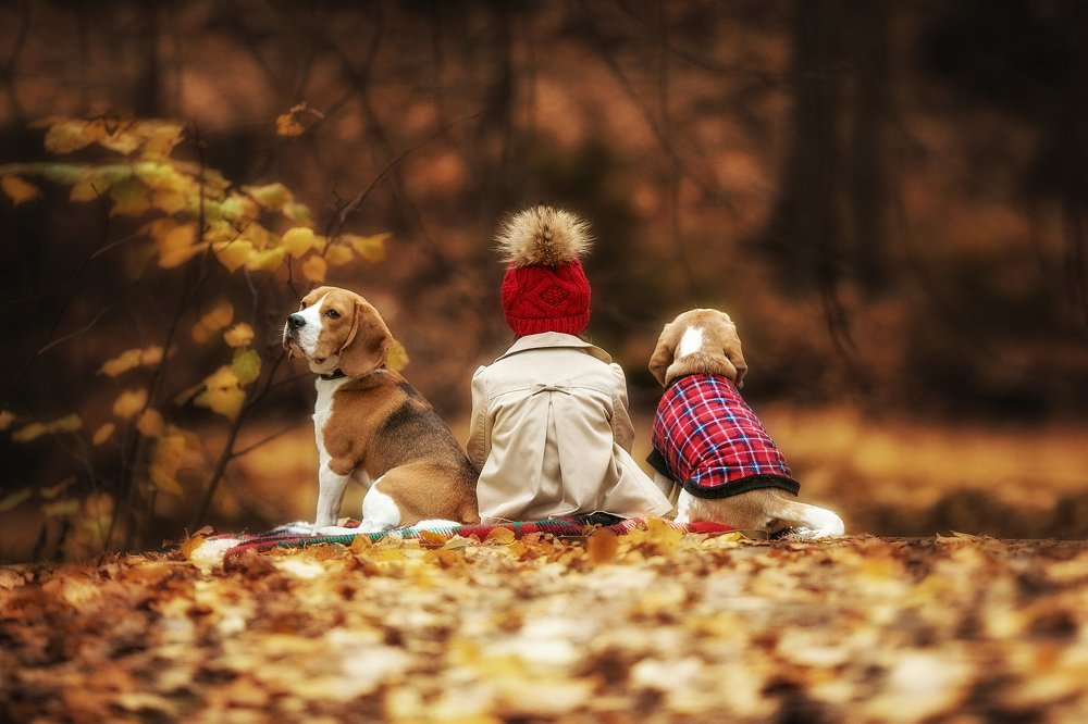 Photograph by Анастасия Шаброва