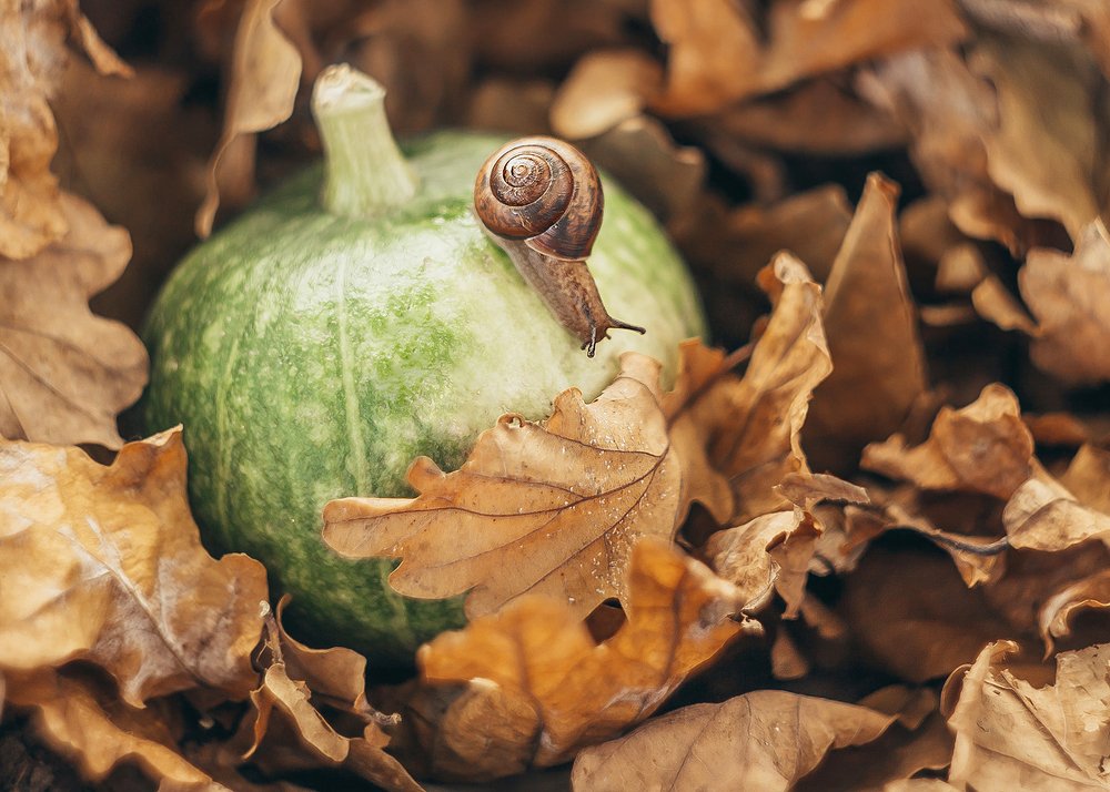 Photograph by Ольга Мурзина