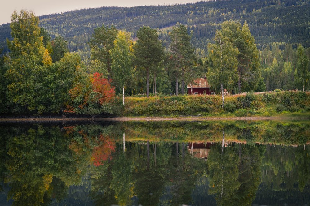 Photograph by Ernestas Balcikonis