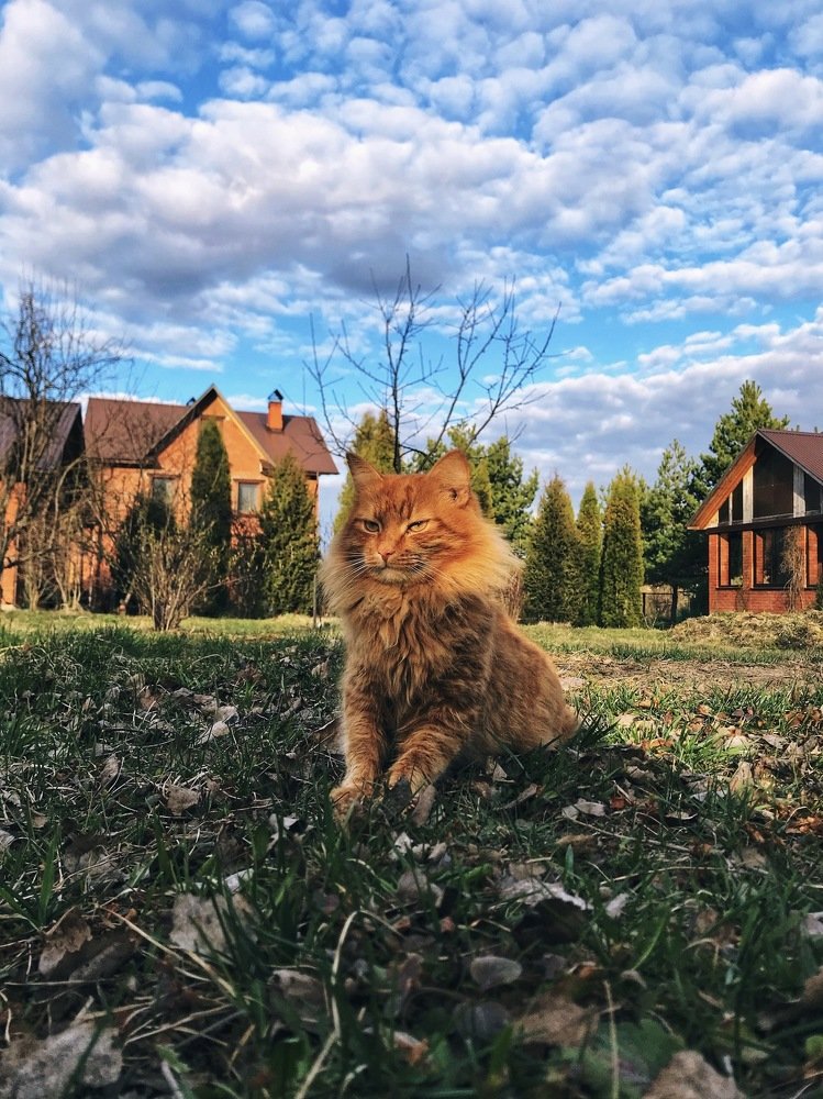 Photograph by Анастасия