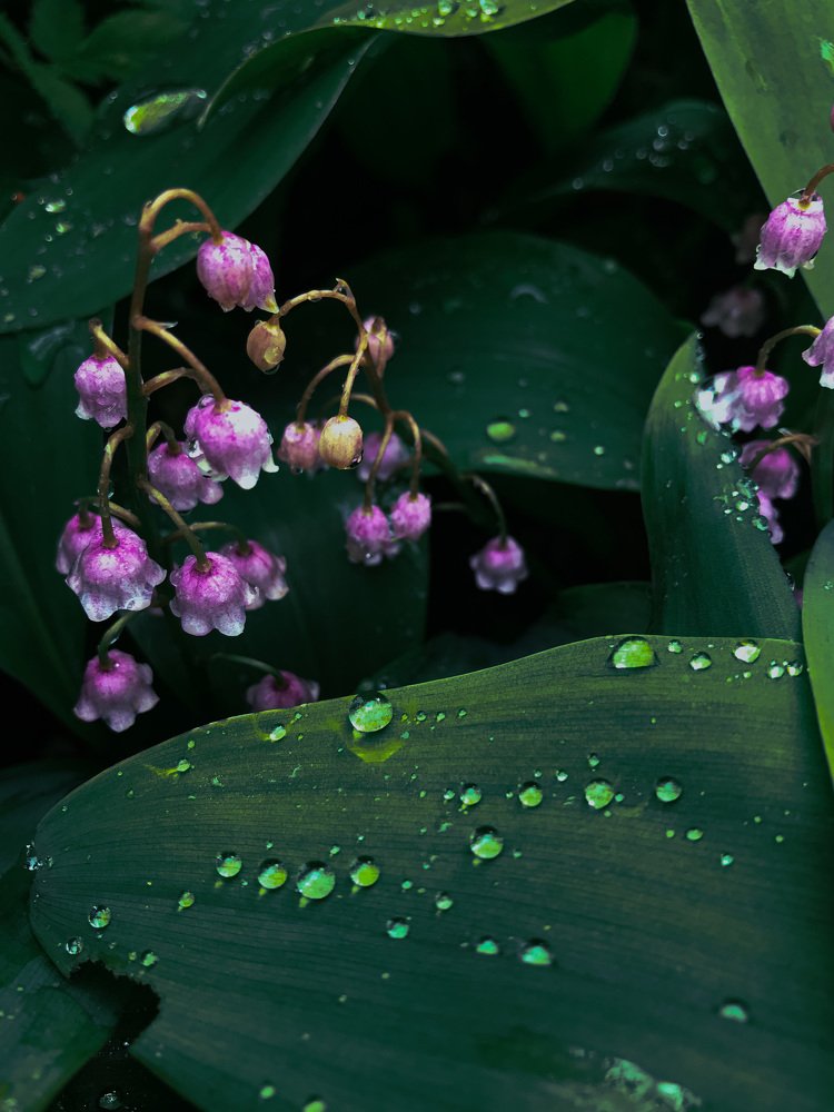 Photograph by Анастасия