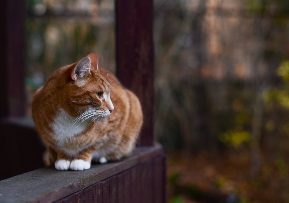 Photograph by Анна Углова