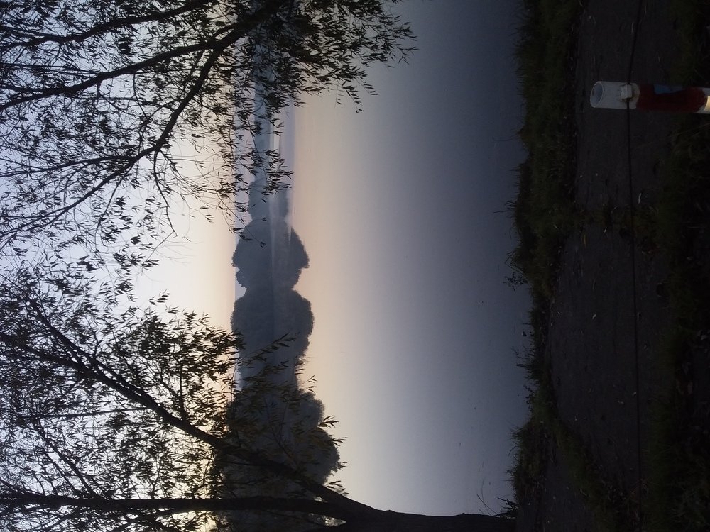 Photo #5229385