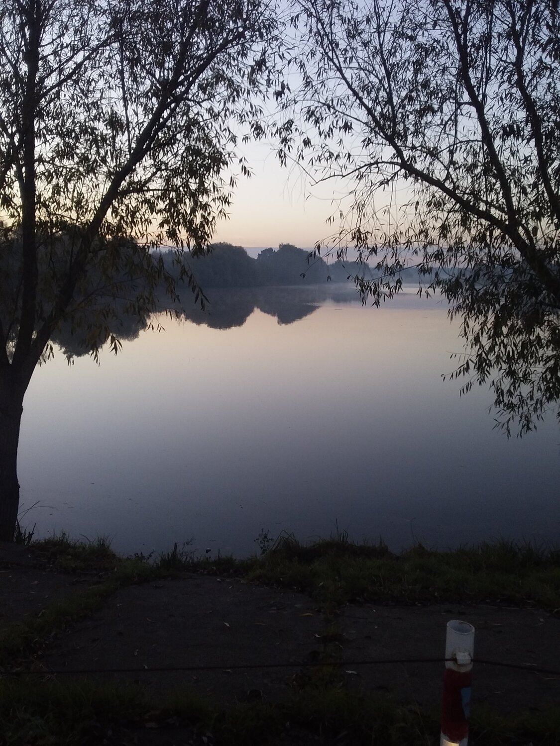 Photo #5229385