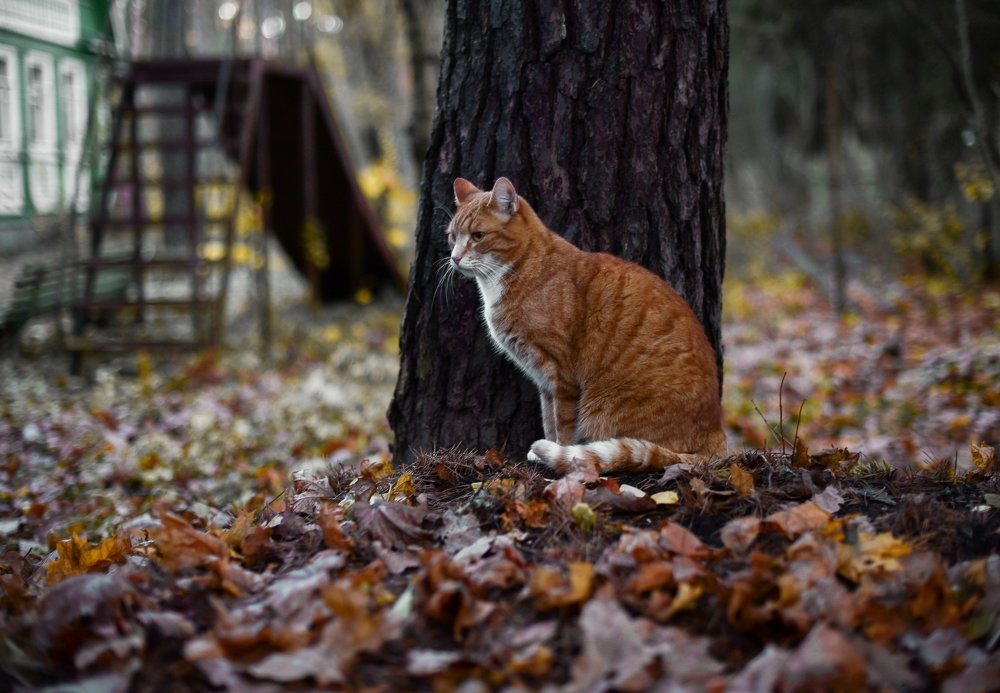 Photograph by Анна Углова