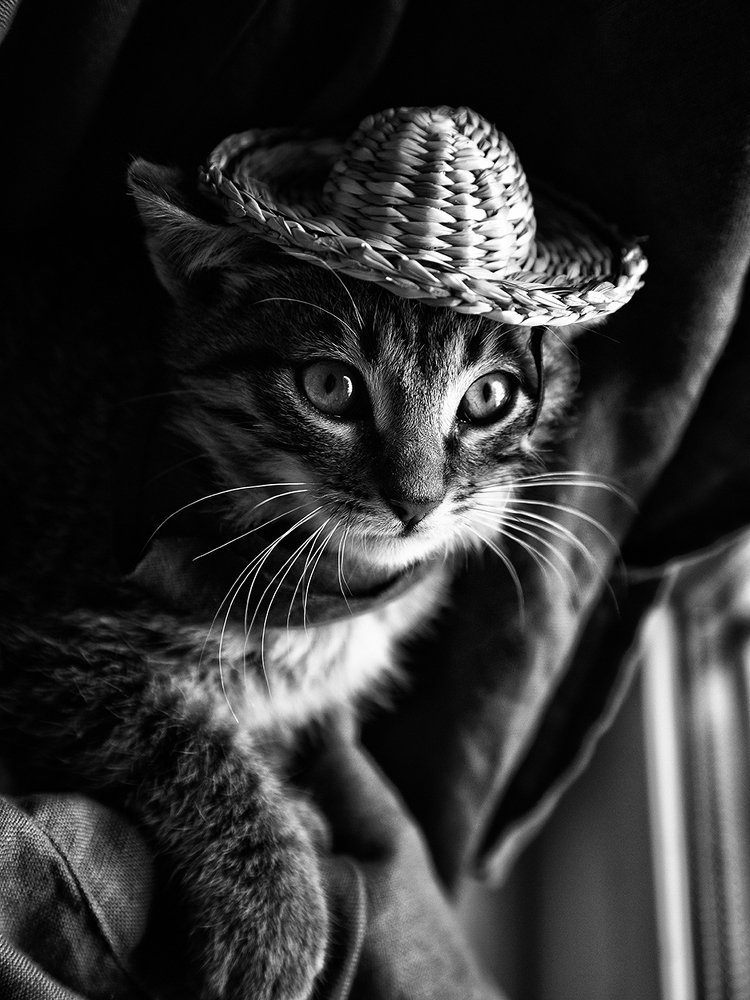 Photograph by Анжела Надежда