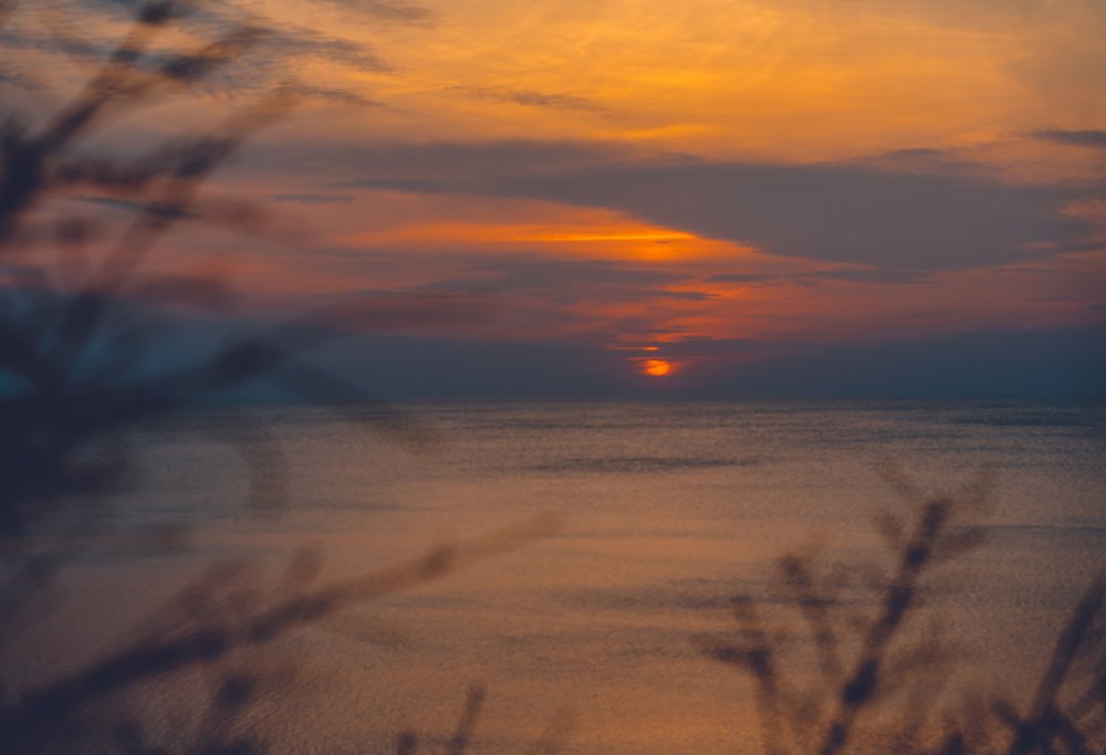 Photograph by Vlad Maslakov