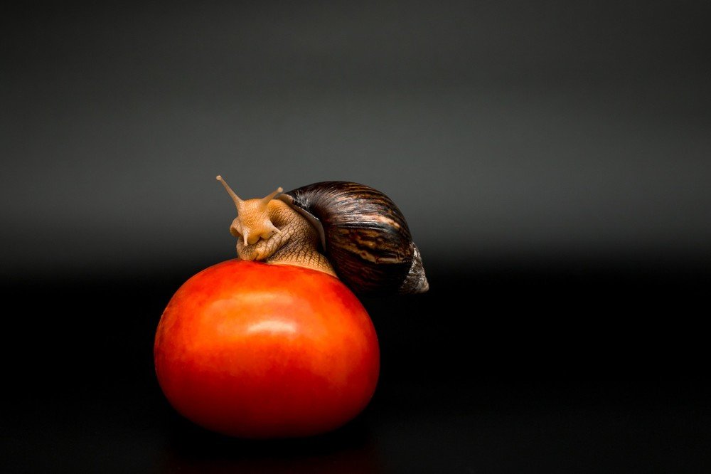 Photograph by Екатерина Нефедова