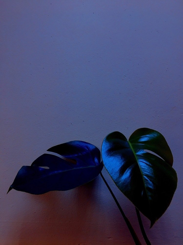 Photograph by Станислав Ситников