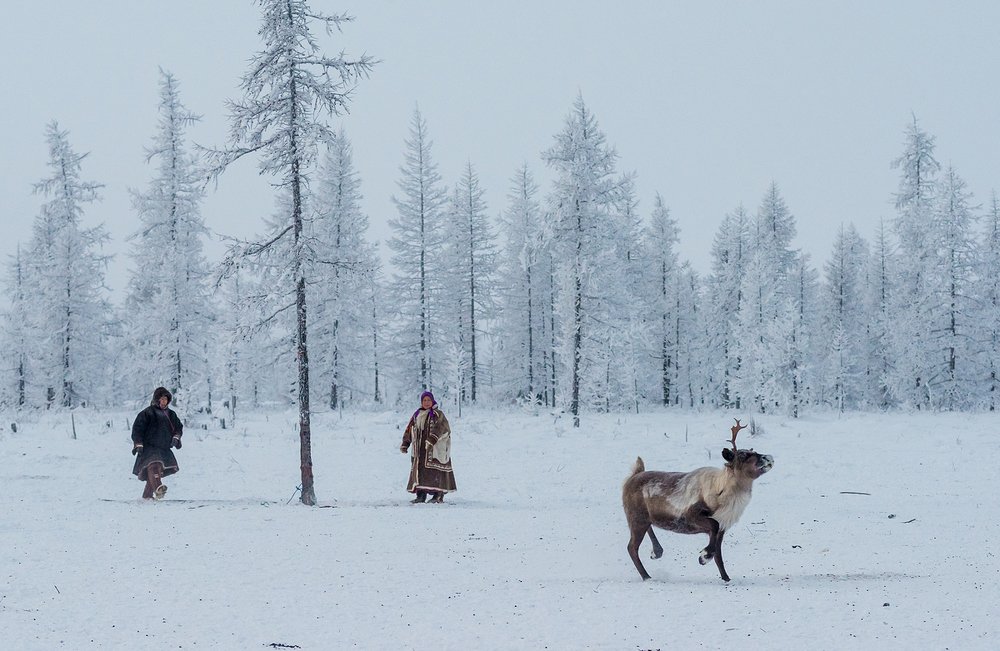 Я от бабушки ушел и от дедушки ушел...
