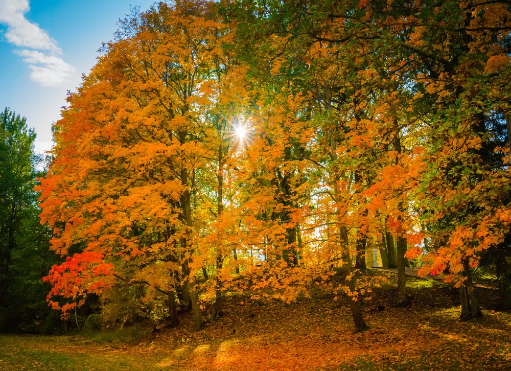 Photograph by Vlad Maslakov