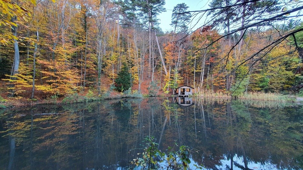 Photograph by Виктория Сметанина