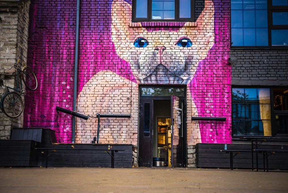 Photograph by Vlad Maslakov