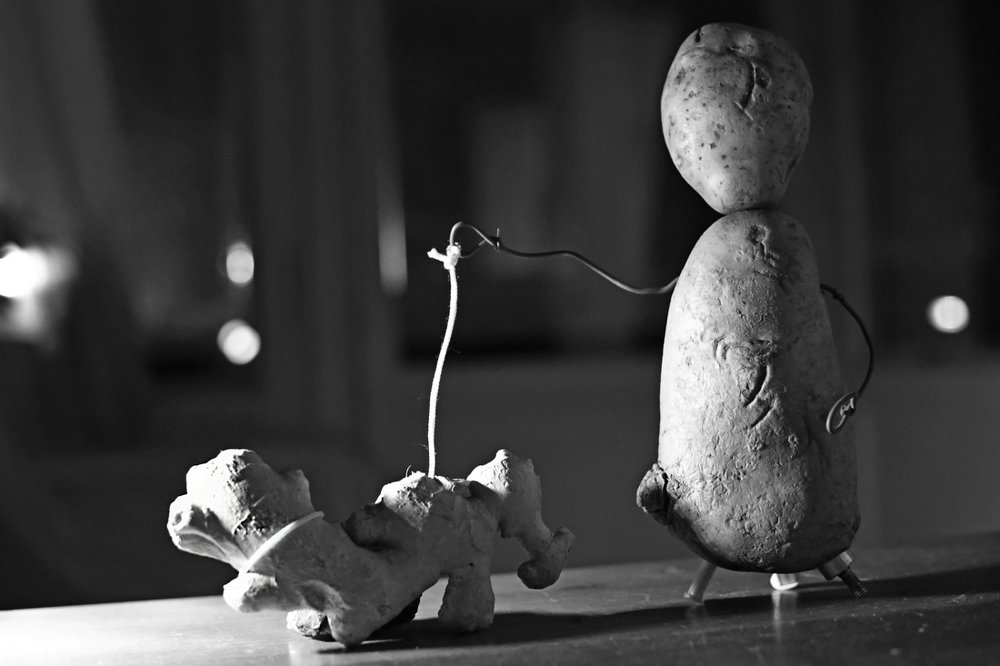 Дама с собачкой.