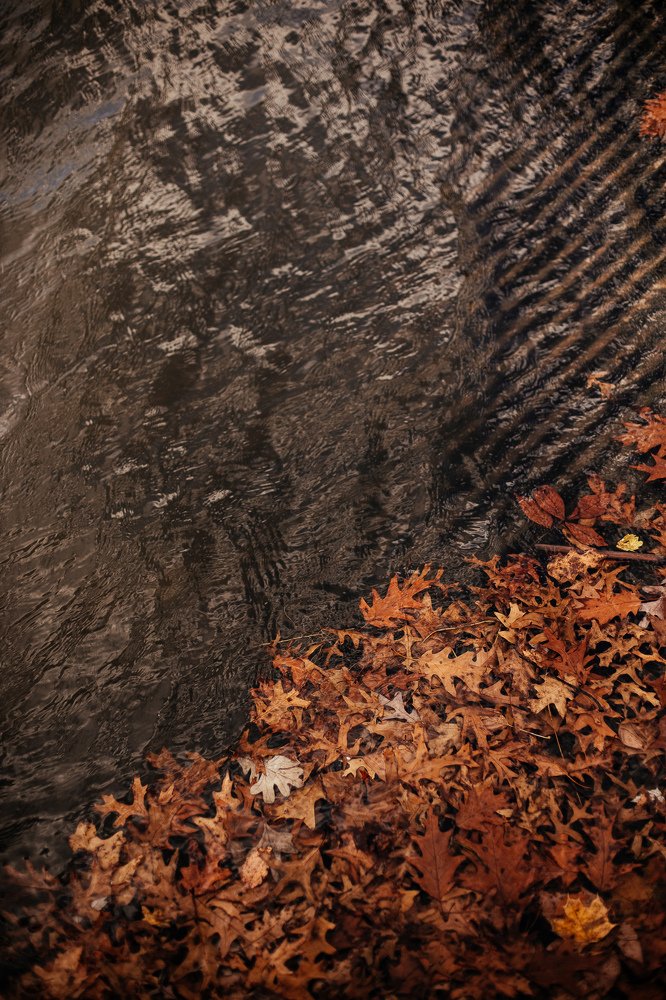 Photograph by Iryna Marchuk