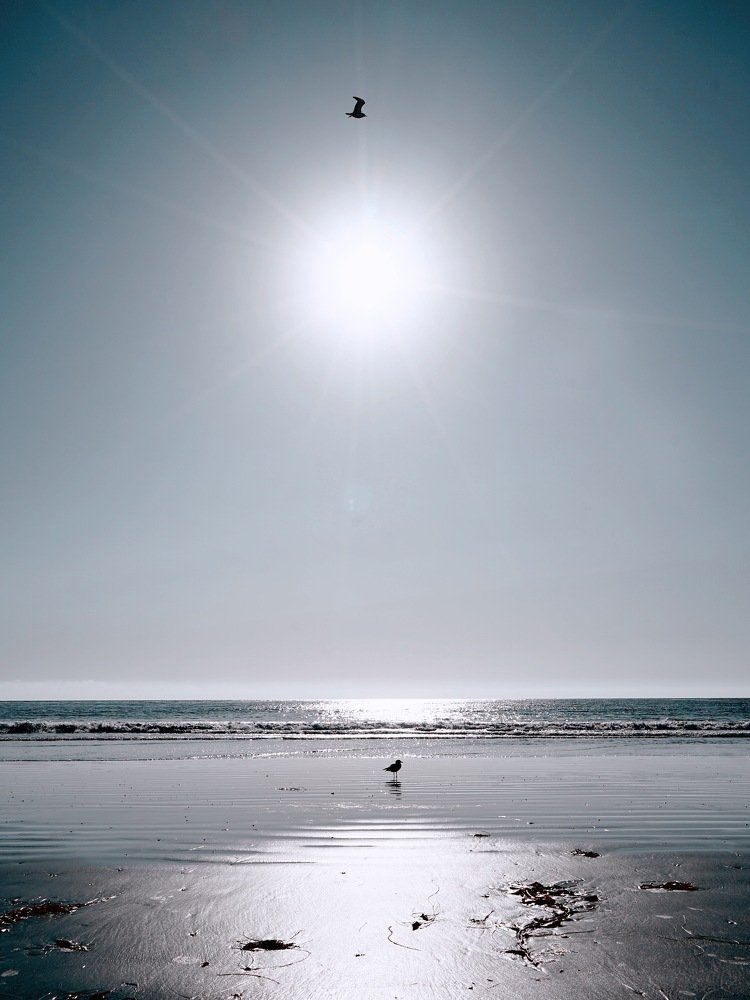 Photograph by Dmitry Skvortsov
