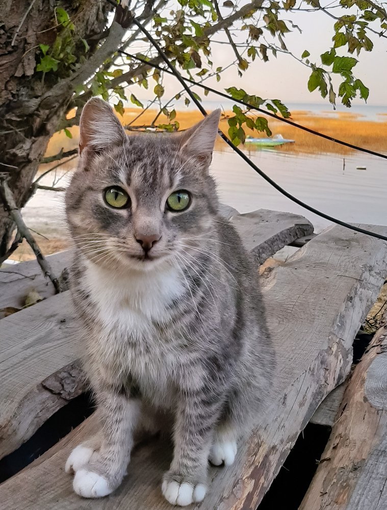 Фотография автора Ольга Виноградова