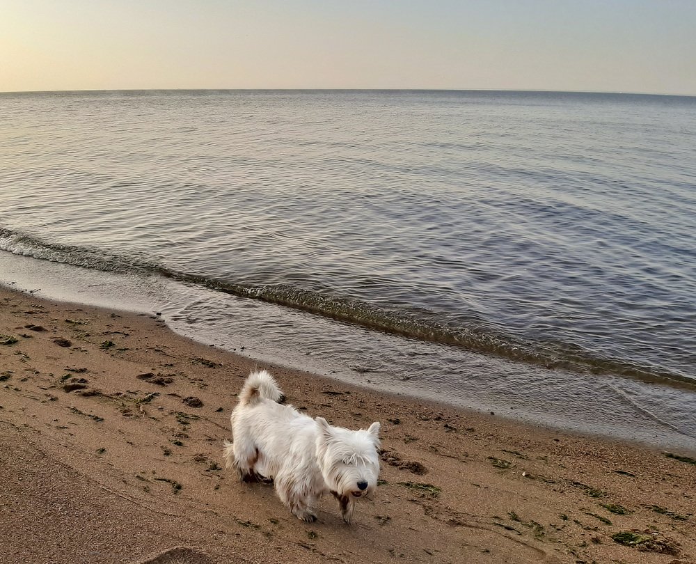 Фотография автора Ольга Виноградова