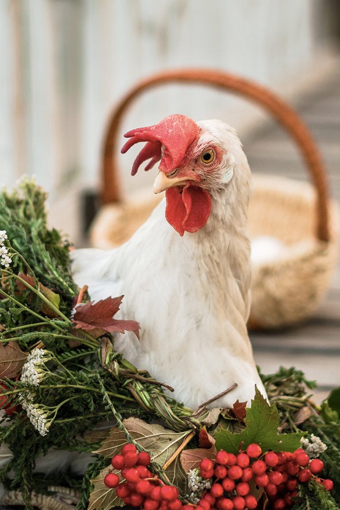 Photograph by Gerasimova Darina