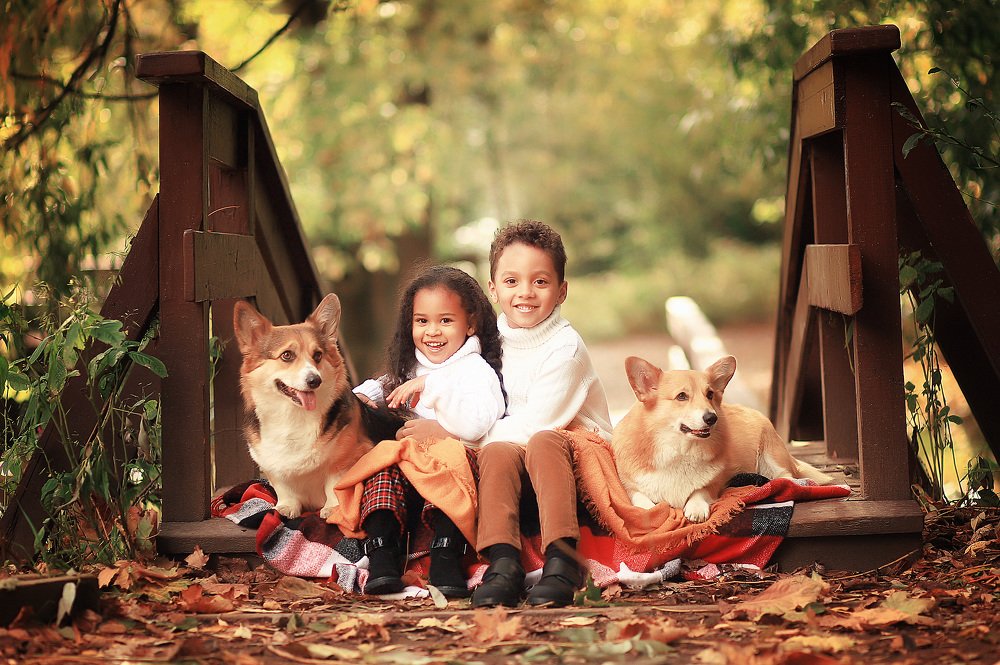 Photograph by Татьяна Гурова