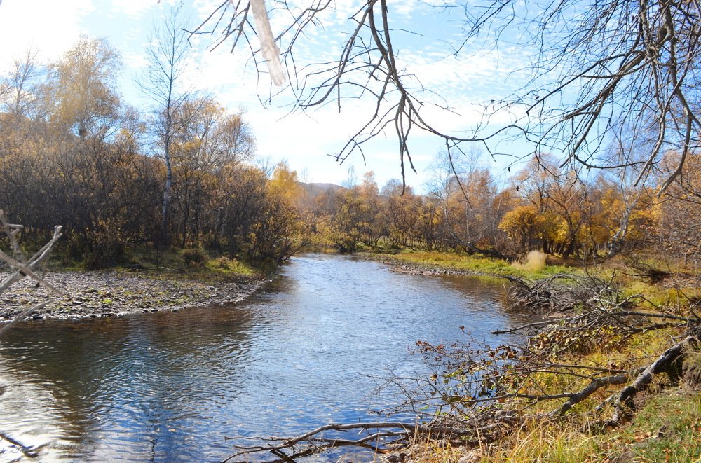 Осень на реке.