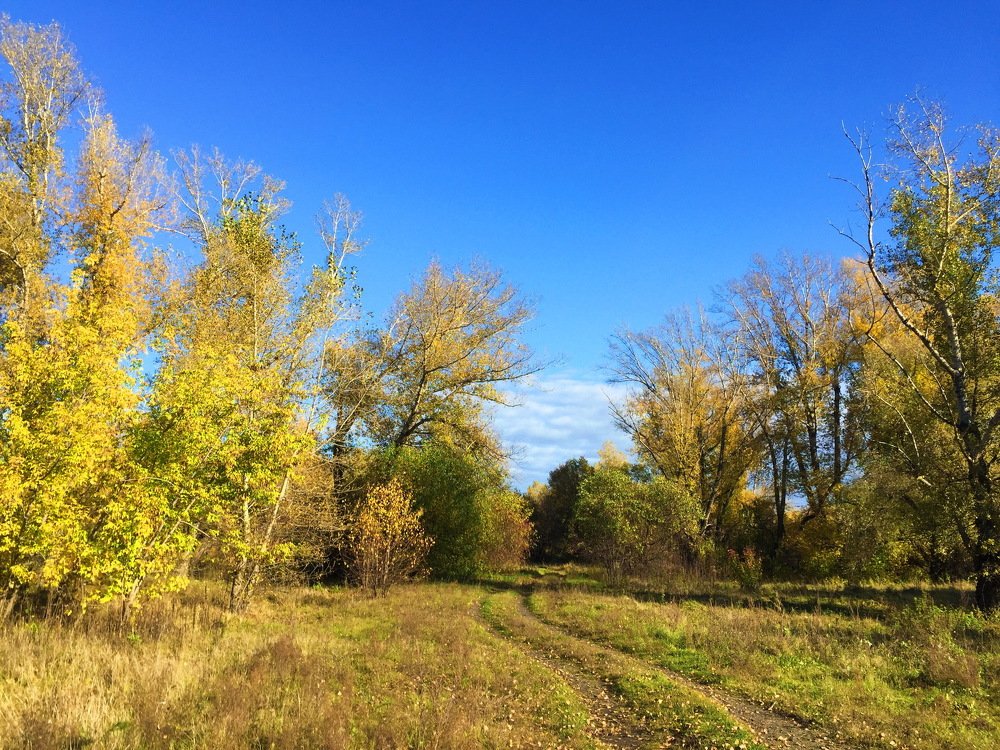 Осенний день.