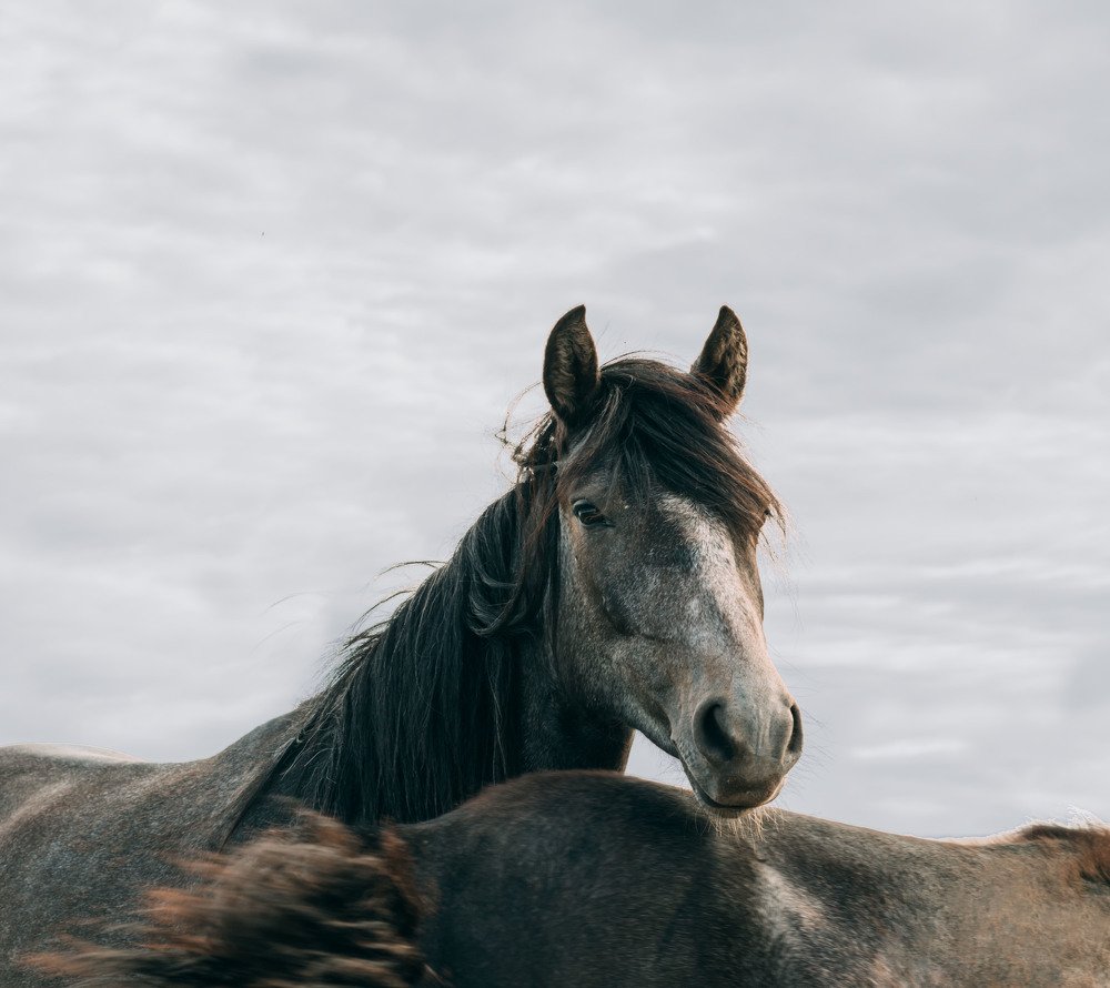 Photograph by Айман Дайрабаева