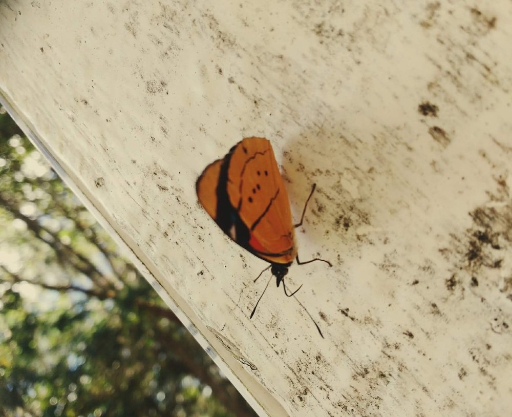 Photograph by Valentina Gallego