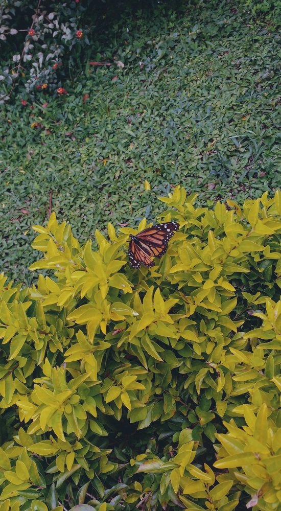 Photograph by Valentina Gallego