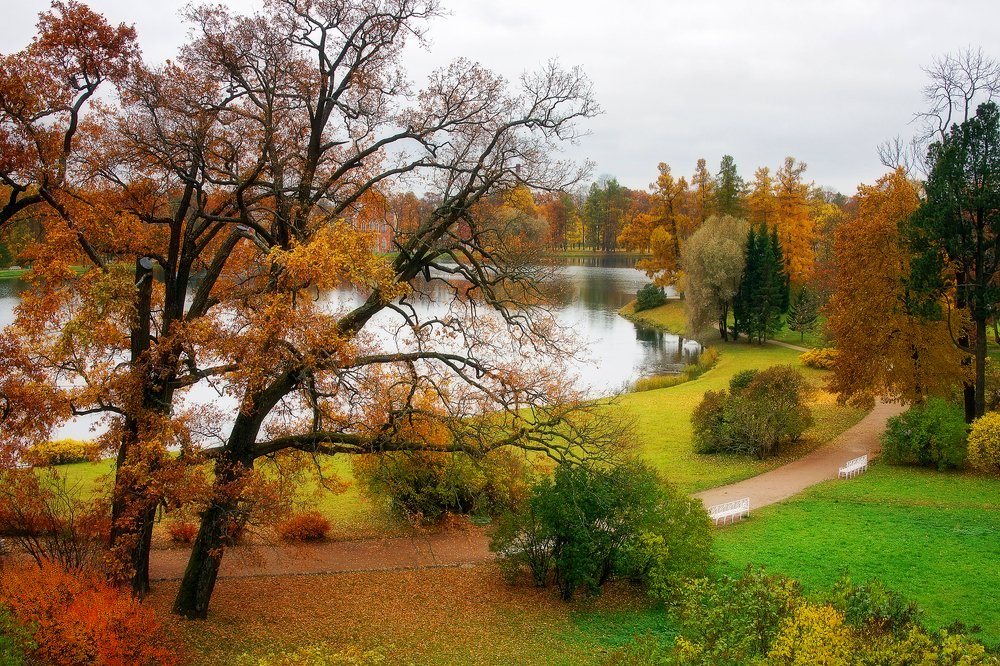 Царскосельская осень