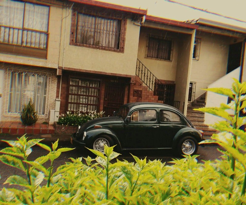 Photograph by Valentina Gallego