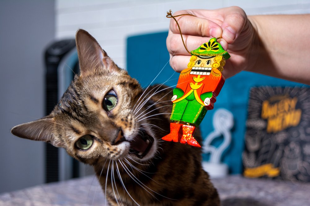 Photograph by Ричард Мун